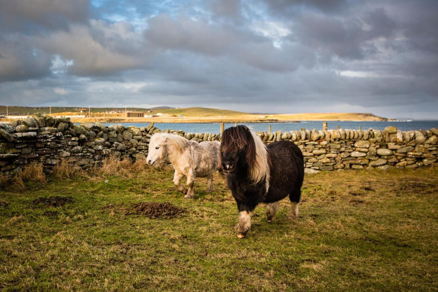 Carradale Guest House Lerwick Esterno foto
